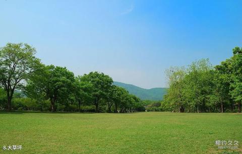 南京梅花山旅游攻略 之 大草坪