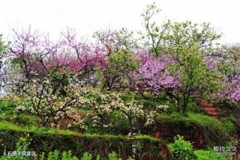 宜宾长宁佛来山旅游攻略 之 石燕子风景区