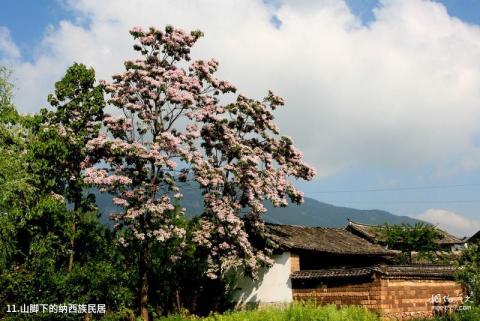 丽江文笔山旅游攻略 之 山脚下的纳西族民居