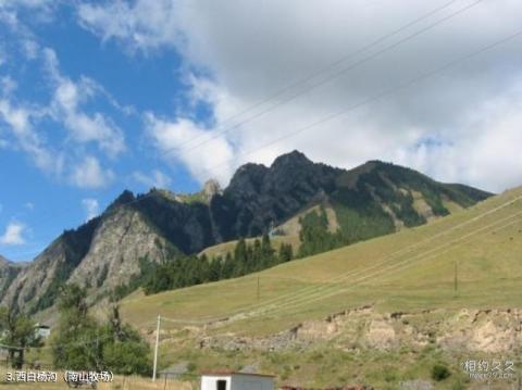 乌鲁木齐南山白杨沟风景区旅游攻略 之 西白杨沟（南山牧场）