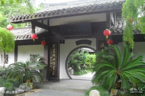温州绣山公园旅游攻略 之 绣山茶苑