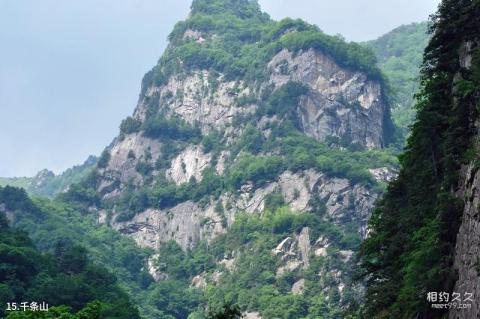 宝鸡太白青峰峡森林公园旅游攻略 之 千条山