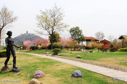 岳阳君山野生荷花世界旅游区旅游攻略