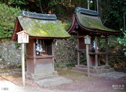 日本宇治上神社旅游攻略 之 摄社