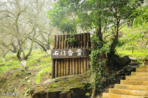 从化石门国家森林公园旅游攻略 之 石门香雪