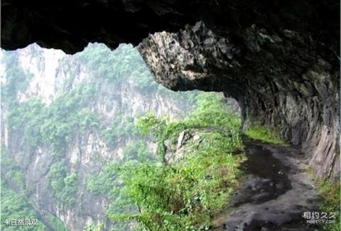 广安华蓥山仙鹤洞旅游攻略 之 自然景观