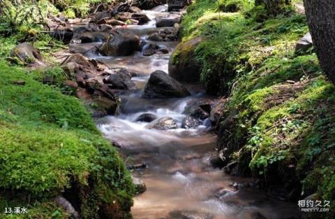 青海老爷山-宝库峡-鹞子沟风景区旅游攻略 之 溪水