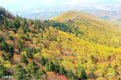 抚顺新宾岗山国家森林公园旅游攻略 之 龙岗雄姿