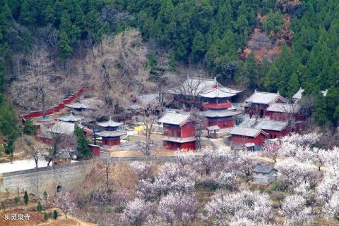 临沂国际影视城旅游攻略