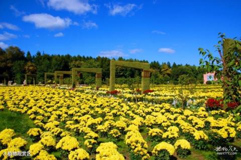 佳木斯水源山公园旅游攻略 之 植物观赏区