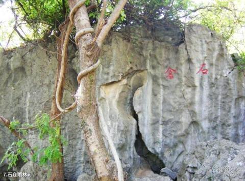 京山太子山王莽洞旅游攻略 之 石仓雨林