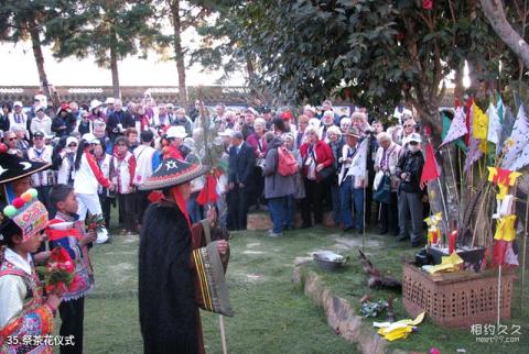 楚雄紫溪山风景区旅游攻略 之 祭茶花仪式