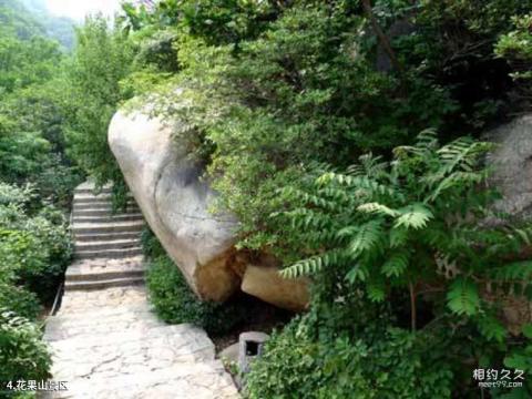 青龙祖山景区旅游攻略 之 花果山景区