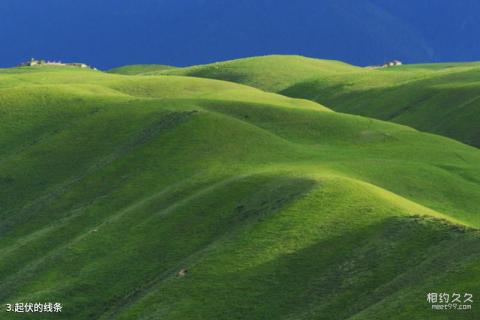新疆喀拉峻草原旅游攻略 之 起伏的线条