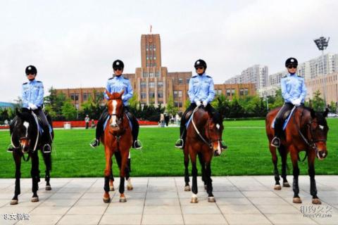 大连人民广场旅游攻略 之 女骑警