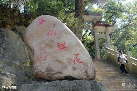 福建归宗岩风景名胜区旅游攻略 之 玉树琪花