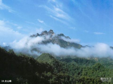 丽水白云山森林公园旅游攻略 之 太山峰