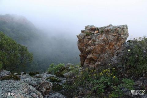 鸡西麒麟山风景区旅游攻略 之 灵璧奇石