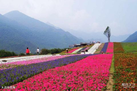 巫溪红池坝风景区旅游攻略 之 云中花海