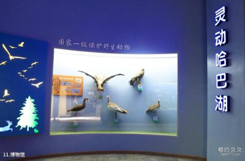 宁夏盐池哈巴湖生态旅游区旅游攻略 之 博物馆