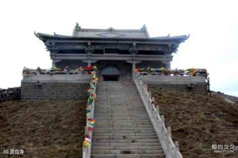 五台山风景区旅游攻略 之 灵应寺