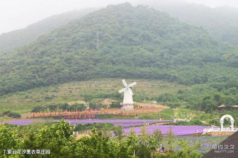 大连小黑山森林公园旅游攻略 之 紫云花汐薰衣草庄园