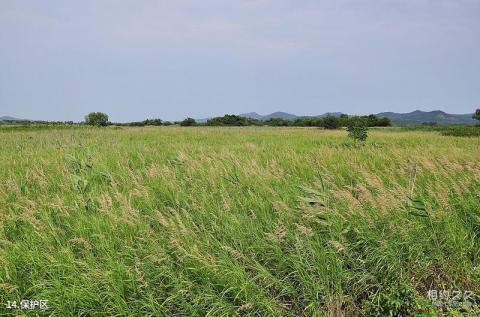 黑龙江珍宝岛旅游攻略 之 保护区