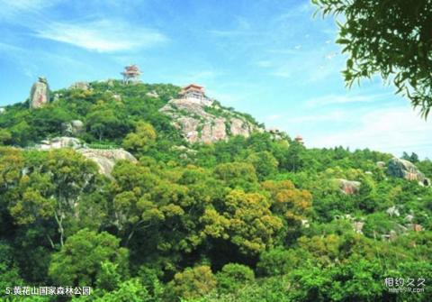 汕头南澳岛旅游攻略 之 黄花山国家森林公园