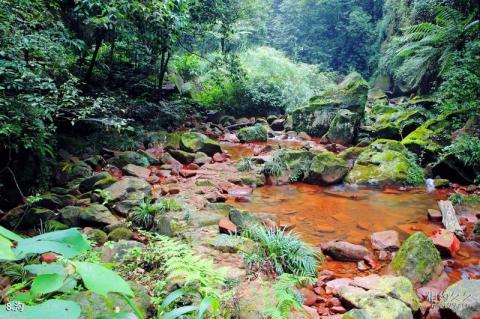 赤水佛光岩景区旅游攻略 之 沟