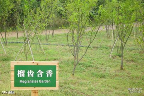 南京大金山风景区旅游攻略 之 石榴园