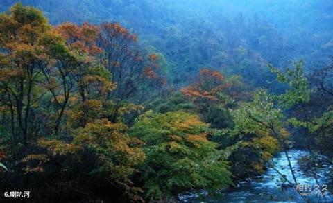 四川雅安二郎山旅游攻略 之 喇叭河