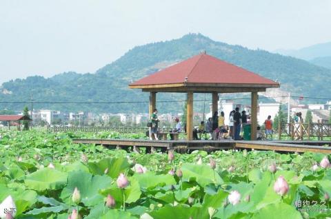 萍乡莲花荷花博览园旅游攻略 之 亭