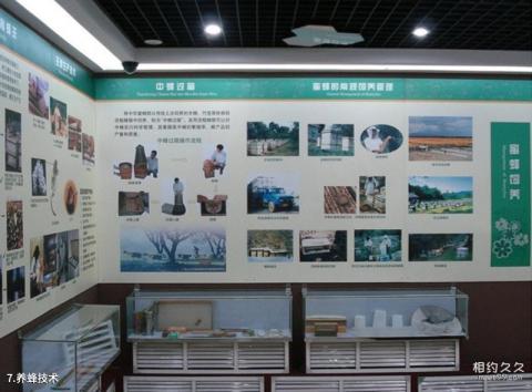 中国蜜蜂博物馆旅游攻略 之 养蜂技术