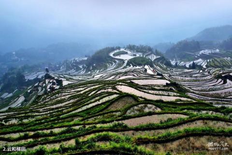 浙江云和梯田旅游攻略 之 云和梯田