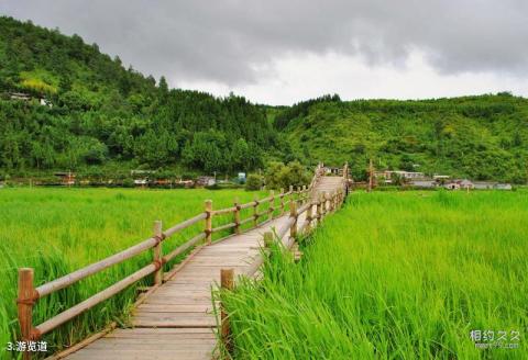 腾冲北海湿地旅游攻略 之 游览道