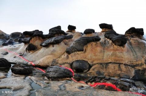 台湾野柳地质公园旅游攻略 之 海狗石