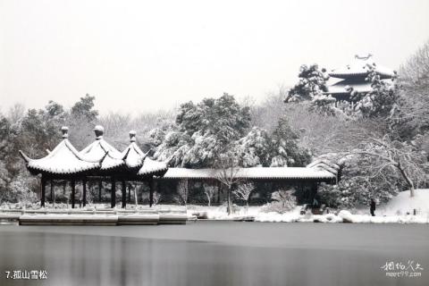 常州红梅公园旅游攻略 之 孤山雪松