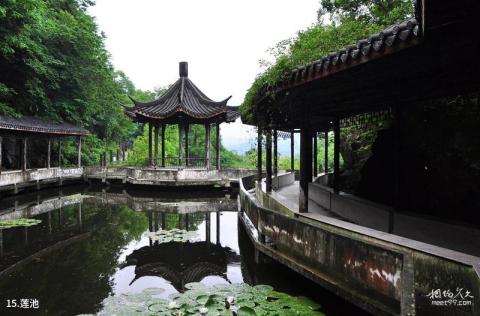 常州天目湖太公山风景区旅游攻略 之 莲池