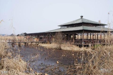 下渚湖国家湿地公园旅游攻略 之 茶社