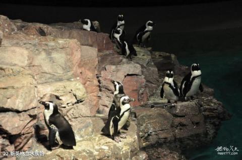 美国波士顿市旅游攻略 之 新英格兰水族馆