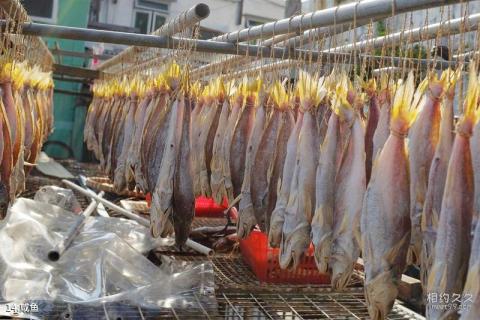 香港大澳渔村旅游攻略 之 咸鱼