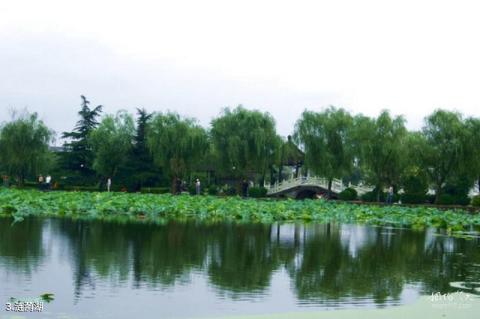 淮安涟水五岛风景区旅游攻略 之 涟漪湖