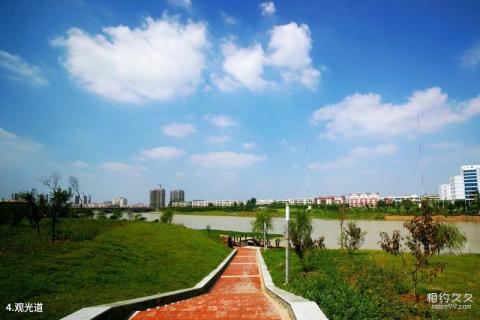漯河沙澧河风景区旅游攻略 之 观光道