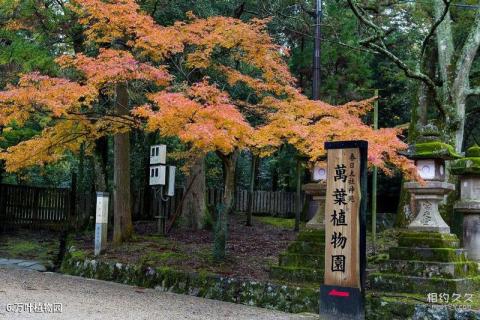 日本奈良旅游攻略 之 万叶植物园