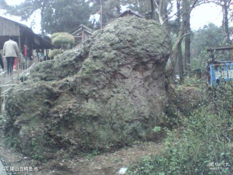 杭州千岛湖风景名胜区旅游攻略 之 姥山岛鳄鱼池