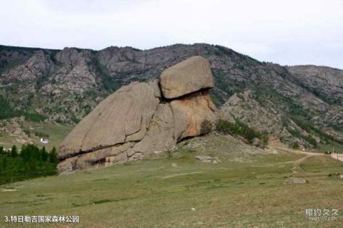 蒙古乌兰巴托旅游攻略 之 特日勒吉国家森林公园