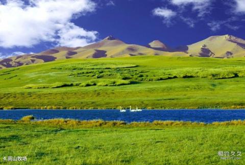 新疆巴音布鲁克天鹅湖旅游攻略 之 高山牧场