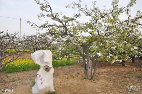 宁夏黄河横城旅游度假区旅游攻略