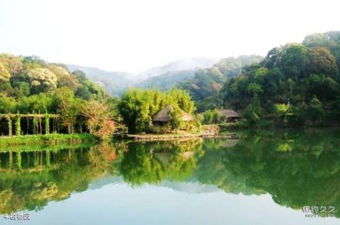 夏津黄河故道森林公园旅游攻略 之 植物园