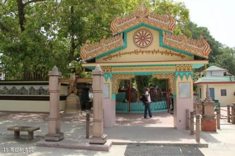 印度瓦拉纳西市旅游攻略 之 菩提树寺院